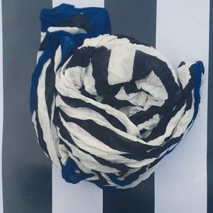 Ann Taylor Giant Scarf